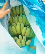Leno packaging bags